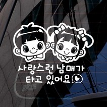 제제데코 A100 사랑스런남매가타고있어요