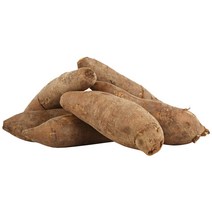 햇살조은 야콘, 10kg (상품), 1개