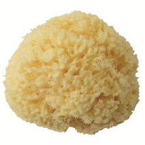 벨리니 유아용 천연해면 허니컴 SA10, 허니컴 (SA10), 1개