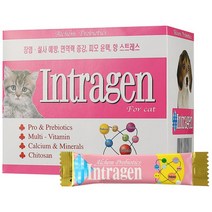 알켐바이오 인트라젠 분말 장영양제, 30개입