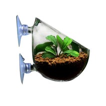 수아쿠아 글라스 수초포트 수초컵, 1개