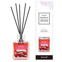바이향 리프레싱 홈닥터 디퓨져 100ml, 블랙체리, 1개