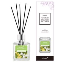바이향 리프레싱 홈닥터 디퓨져 100ml, 후리지아 뮤게, 1개
