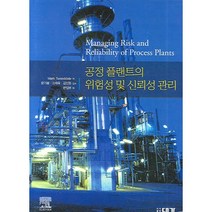 공정 플랜트의 위험성 및 신뢰성 관리, 대가, Mark Tweeddale 저/윤기봉 외 감수