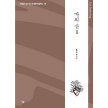 [살림]마의 산 2 - 생각하는 힘 진형준 교수의 세계문학컬렉션 78, 토마스 만, 살림