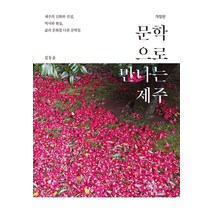 문학으로 만나는 제주:제주의 신화와 건설 역사와 현실 삶과 문화를 다룬 문학들, 김동윤, 한그루