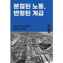 분절된 노동 변형된 계급:울산 대공장 노동자의 생애와 노동운동, 산지니, 유형근