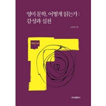 [세창출판사(세창미디어)]영미 문학 어떻게 읽는가 : 감성과 실천, 세창출판사(세창미디어), 조규형