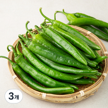 국내산 오이고추, 1kg, 3개