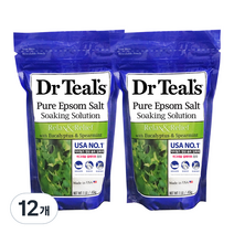 닥터틸즈 솔트 유칼립투스 앤 스피아민트 입욕제, 450g, 12개