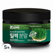조은약초 밀싹 분말, 5개, 120g