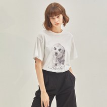 마나비스세븐 여성용 Classic Shorts Slacks
