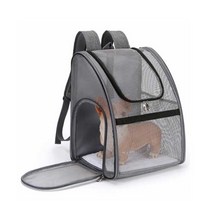 라이프메이드 반려동물 스타일리시 통기형 백팩, 그레이