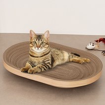코멧 펫 고양이 쇼파 스크래쳐, 타원형