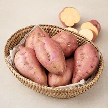 국내산 호박고구마, 1kg (개당 80~150g), 1개