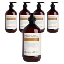 부케가르니 나드 두피케어 탈모증상완화 샴푸 아로마허브, 1000ml, 5개
