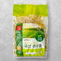 곰곰 무농약인증 국산 콩나물, 500g, 1개