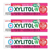 자일리톨 W, 24g, 3개