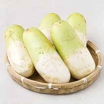 곰곰 국내산 세척 다발무, 5kg, 1봉