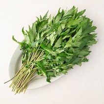 당귀잎, 100g, 1개