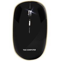 TGIC 저소음 무선 마우스 DJWM-3200, 블랙