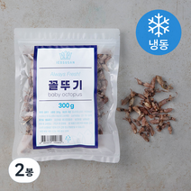 이어수산 꼴뚜기 (냉동), 300g, 2봉