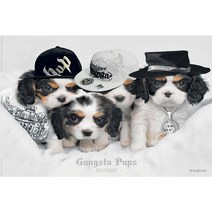 액자 gangsta pops