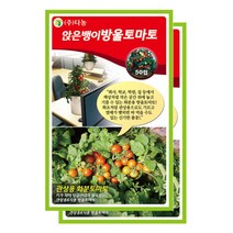 다농 앉은뱅이빨강방울토마토씨앗, 2개