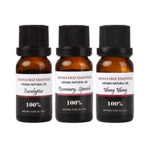 아로하트리즈 에센셜오일 유칼립 투스 + 로즈마리 + 일랑일랑, 10ml, 1세트