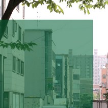 시트나라 창문시트지 투과율 25퍼센트 GNK 025, Solar필름 그린
