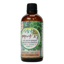 친환경편백아트 편백나무 산림욕 오일, 50ml, 1개