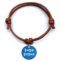 펫츠룩 굿모닝 카라멜 반려동물 목걸이 S 알미늄원형 팬던트 M, 블루(혼자집에갈수있어요), 1개