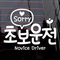 제제데코 자동차 스티커 문구쏘리 초보, 화이트, 1개