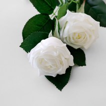 블루밍앤미 조화 베로나 장미, 화이트