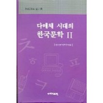다매체 시대의 한국문학 2, 국학자료원