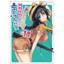 온라인 게임의 신부는 여자아이가 아니라고 생각한 거야? 14, 디앤씨미디어