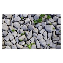 UVDS 아트보드 자갈, 1개