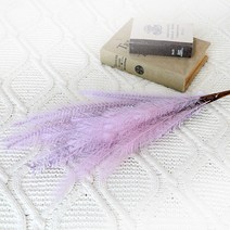 조아트 팜파스 조화 갈대 뮬리가지 5p, 퍼플, 5개