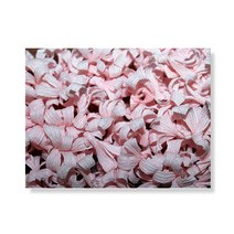 리틀하이커 flower 캔버스액자A3W35 33