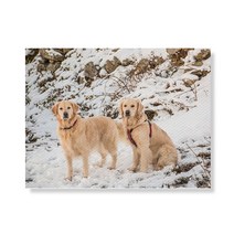 리틀하이커 Dog 캔버스 프린팅 액자 A3W36 24