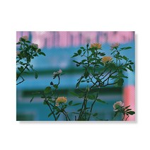 리틀하이커 flower 캔버스 프린팅 액자 A3W35 86