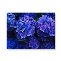 리틀하이커 flower 캔버스액자 A3W35 164
