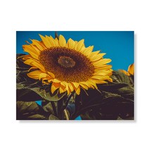 리틀하이커 flower 캔버스액자A3W35 75