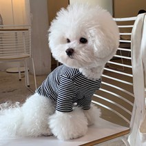 매그독 루피 스트라이프 반려동물 티셔츠, 네이비