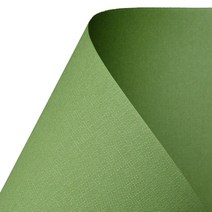 B앤B 복사용지 B14올리브 120g, 4절(39 x 54 cm), 40개
