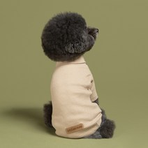 오드스튜디오 베이직 골지 반려동물 터틀넥, 베이지