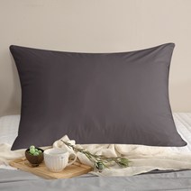 린튼 M2 기능성 알러지케어 베개 커버 + 마이크로 베개솜 세트, 차콜