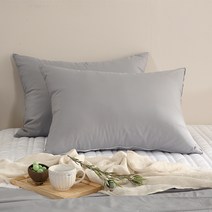 린튼 M2 기능성 알러지케어 베개 커버 2p + 마이크로 베개솜 2p 세트, 실버그레이