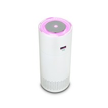 AD 차량용 공기청정기, PM302(화이트)