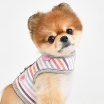 패숀팩토리 강아지 쥬쥬 하네스 J형 면 가슴줄 NAUA-HJ7629, 그레이